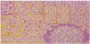 Beliani Avanos Vintage/orientaals multicolor wol online kopen