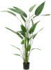 Emerald Kunstplant heliconia plant groen 125 cm 419837 online kopen