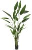 Emerald Kunstplant heliconia plant groen 125 cm 419837 online kopen