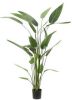 Emerald Kunstplant heliconia plant groen 125 cm 419837 online kopen