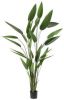 Emerald Kunstplant heliconia plant groen 125 cm 419837 online kopen