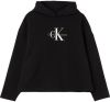 Calvin Klein Dolce Gabbana Bourgondië Suede ronde teenpompen , Zwart, Dames online kopen