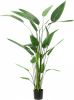 Emerald Kunstplant heliconia plant groen 125 cm 419837 online kopen