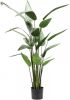 Emerald Kunstplant heliconia plant groen 125 cm 419837 online kopen