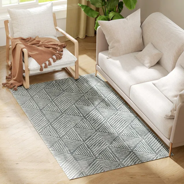 ECTEATOY Vloerkleed Woonkamer - Carpet - Laagpolig Tapijt - Machinewasbaar - Slaapkamer & Hal - 170x120 cm - Donkergrijs