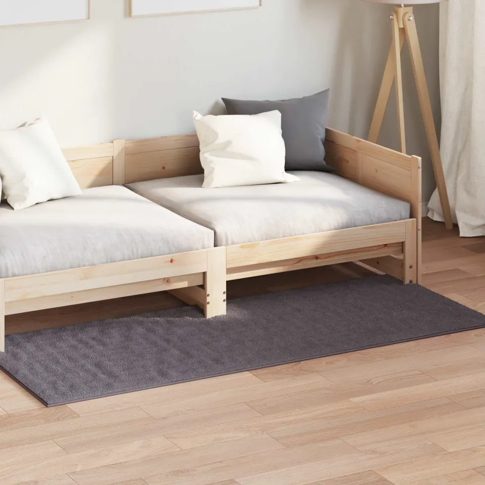 vidaXL Binnen kleed SIROLO Antraciet 80 x 150 cm Polyester Medium Pile, foto 3