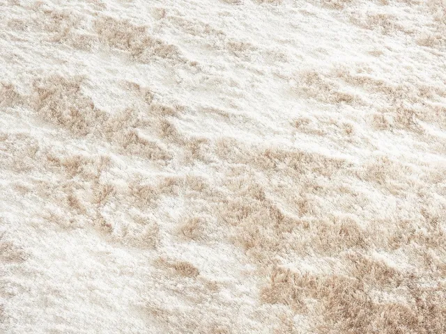 Vente-unique Ultrazacht hoogpolig shaggy vloerkleed - 140 x 200 cm - Beige - DOLCE