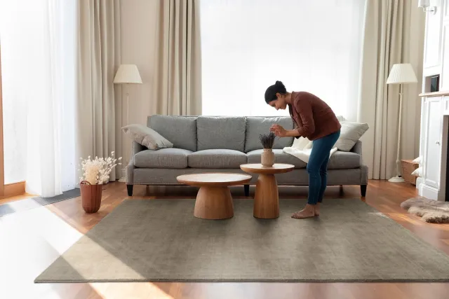 Acsento Corfu Sage Vloerkleed - 240 x 340 cm - Taupe - Rechthoekig - Nylon - Eetkamer, Woonkamer - Effen - Modern Saliegroen
