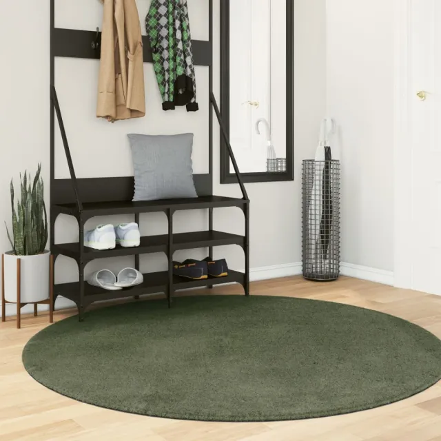 vidaXL Rug HUARTE Green Ø 160 cm 100% Polyester Plat, foto 2