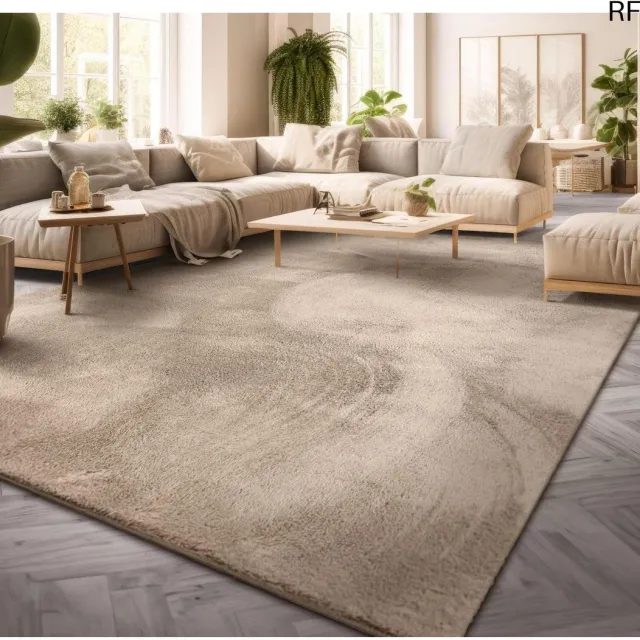 RFWR Eenkleurig Laagpolig Vloerkleed voor Woonkamer - Modern Design Wasbaar - Beige 60x100 cm