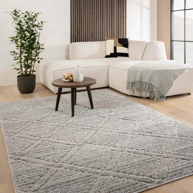 Tapeso Scandinavisch vloerkleed - Arc Gem lichtgrijs 100x200