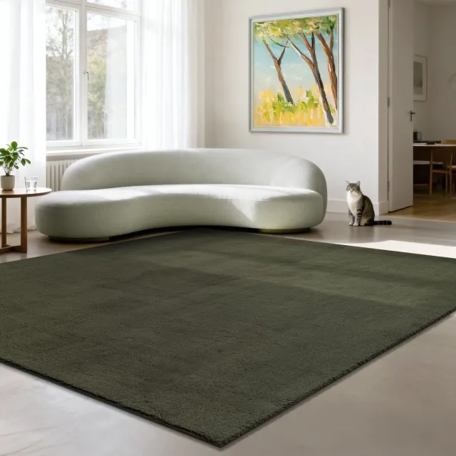 the carpet RELAX – Extra Zacht & Wasbaar Vloerkleed tot 30°C met Antislip Onderzijde – Fluweelachtige Structuur – Voor Slaapkamer of Woonkamer – Donkergroen, 240 x 240 cm vierkant