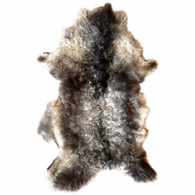 SKÓREX Natuurlijke schapenvacht "Krullend" - Grijs - 100cm