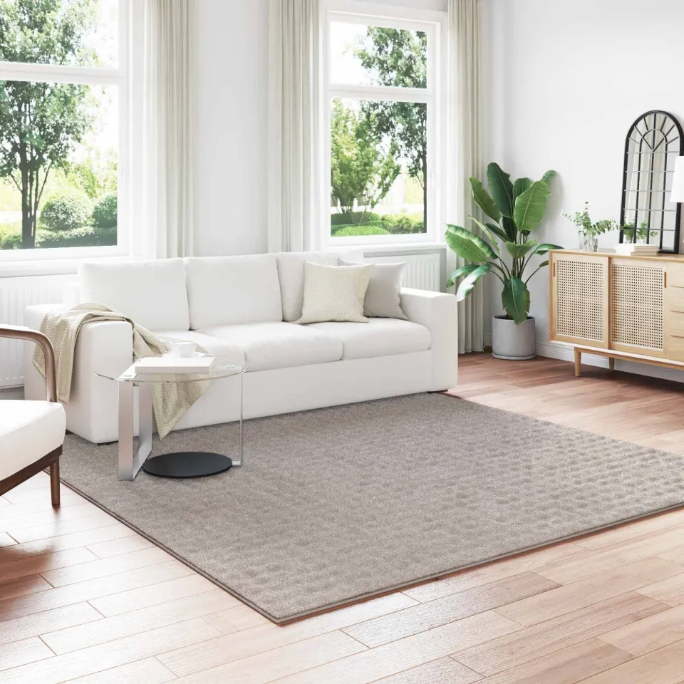 vidaXL Vloerkleden Vierkant SIROLO Zand 240 x 240 cm Polyester, foto 3