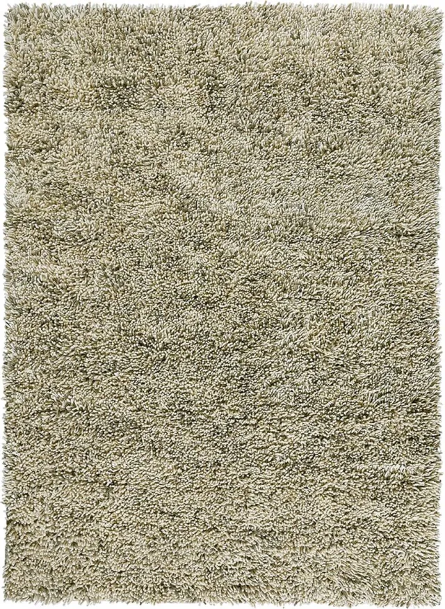 Brinker Carpets vloerkleed massimo - moonstone - 170x230 cm groen