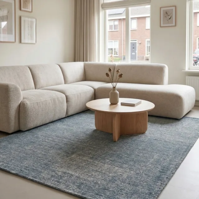 DÉJA Living Vloerkleed 200x290cm - Laagpolig Lichtblauw Stof - Emren