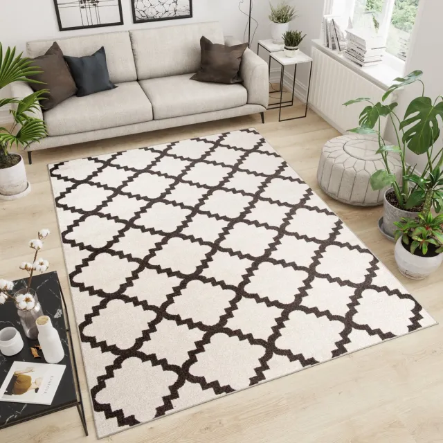 Tapiso Maroko Vloerkleed Woonkamer Trellis Tapijten beige bruin, foto 3