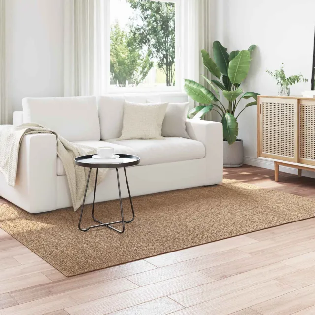 vidaXL Binnen- en buitentapijt AGIRA Naturel 230 x 160 cm Polyester, foto 2