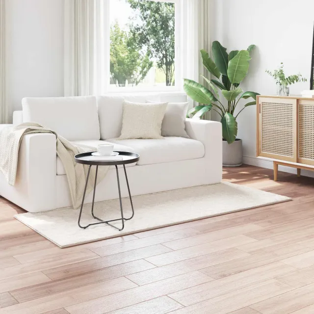 vidaXL Binnen kleed SIROLO Crèmekleurig 80 x 200 cm Polyester, foto 2