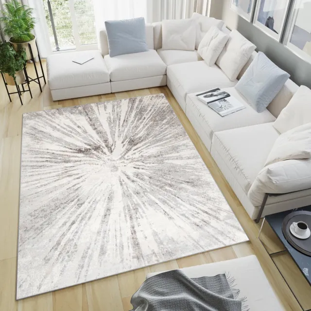 Tapiso Valley Vloerkleed Slaapkamer Woonkamer Tapijt Maat- 300x400 Grijs