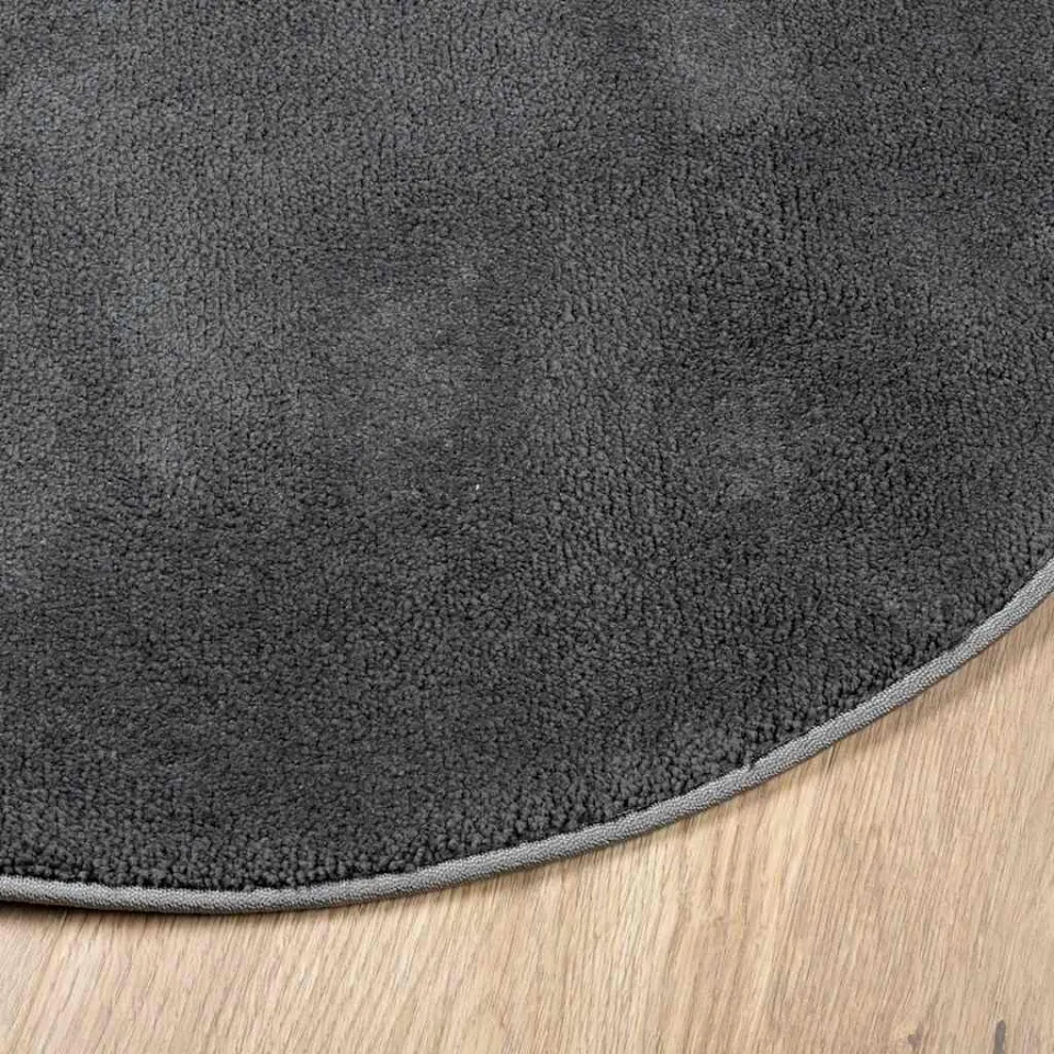 vidaXL Vloerkleed OVIEDO laagpolig Ø 200 cm antracietkleurig, foto 4