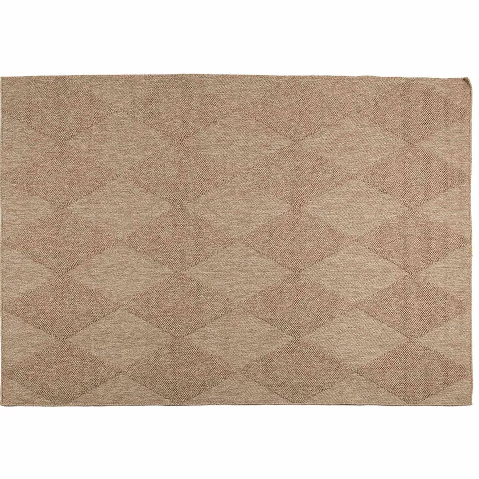 vidaXL Binnen- en buitentapijt AGIRA Naturel 280 x 200 cm Polyester Bruin
