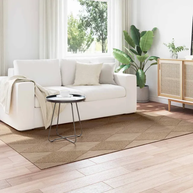 vidaXL Binnen- en buitentapijt AGIRA Naturel 200 x 140 cm Polyester, foto 2