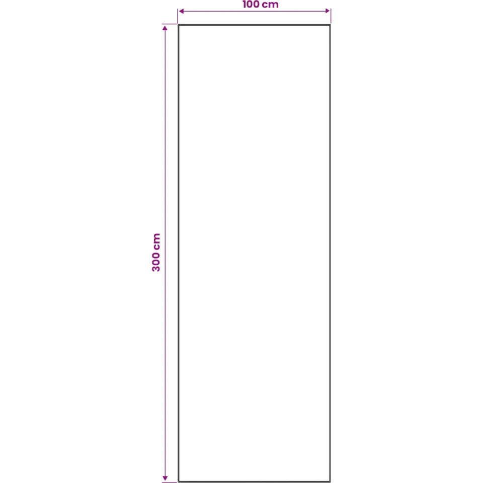 vidaXL Vloerkleedloper LESAKA zilver 100 x 300 cm Diamantvelours, foto 3