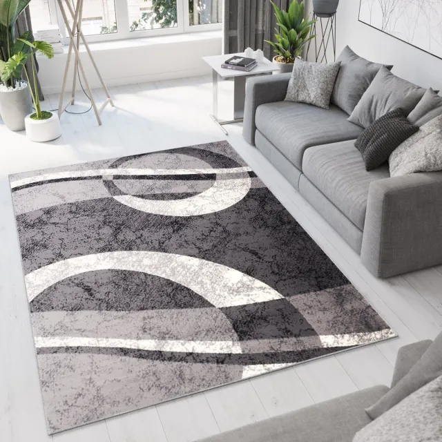 Tapiso Dream Vloerkleed Grijs Modern Cirkels Woonkamer Tapijt Maat- 220x300 Grijs Licht