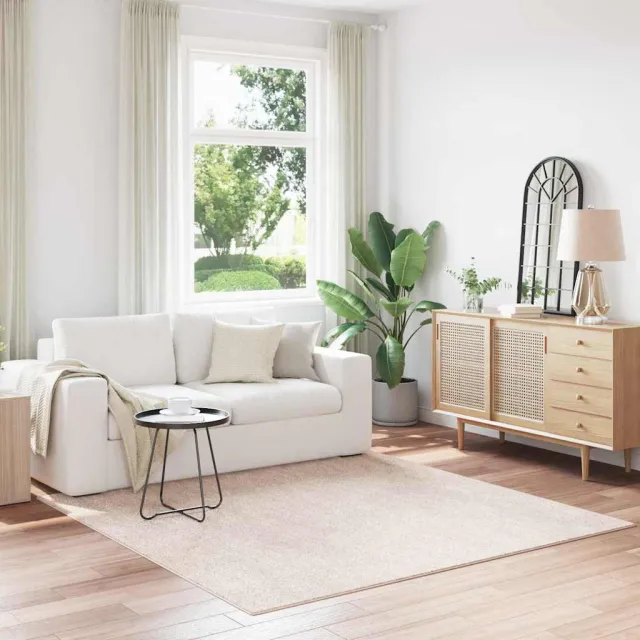 vidaXL Antislip Shaggy Tapijt Crèmekleurig 200 x 200 cm PP, foto 2