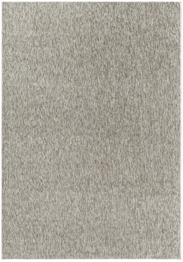 Dutch XXL Laagpolig Vloerkleed | Tapijt | Nizza | Gemêleerd | Beige