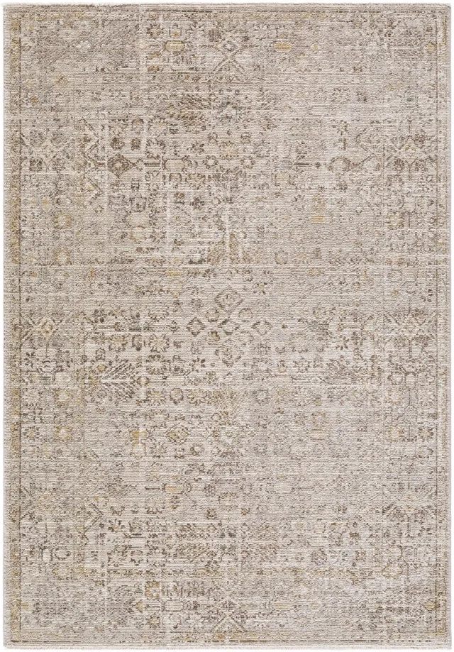 Surya Galey Alix x SURYA Myrtle Avenue I vloerkleed vintage oosters taupe crème