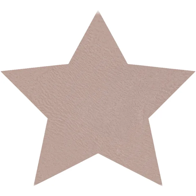RUGSX Kleden Rugsx Modern wastapijt SHAPE 3148 Ster shaggy - 80x80 cm Roze