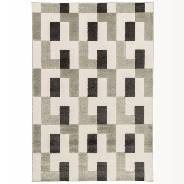 Paon Brillant Modern vloerkleed - Forme Murale antraciet 200x290