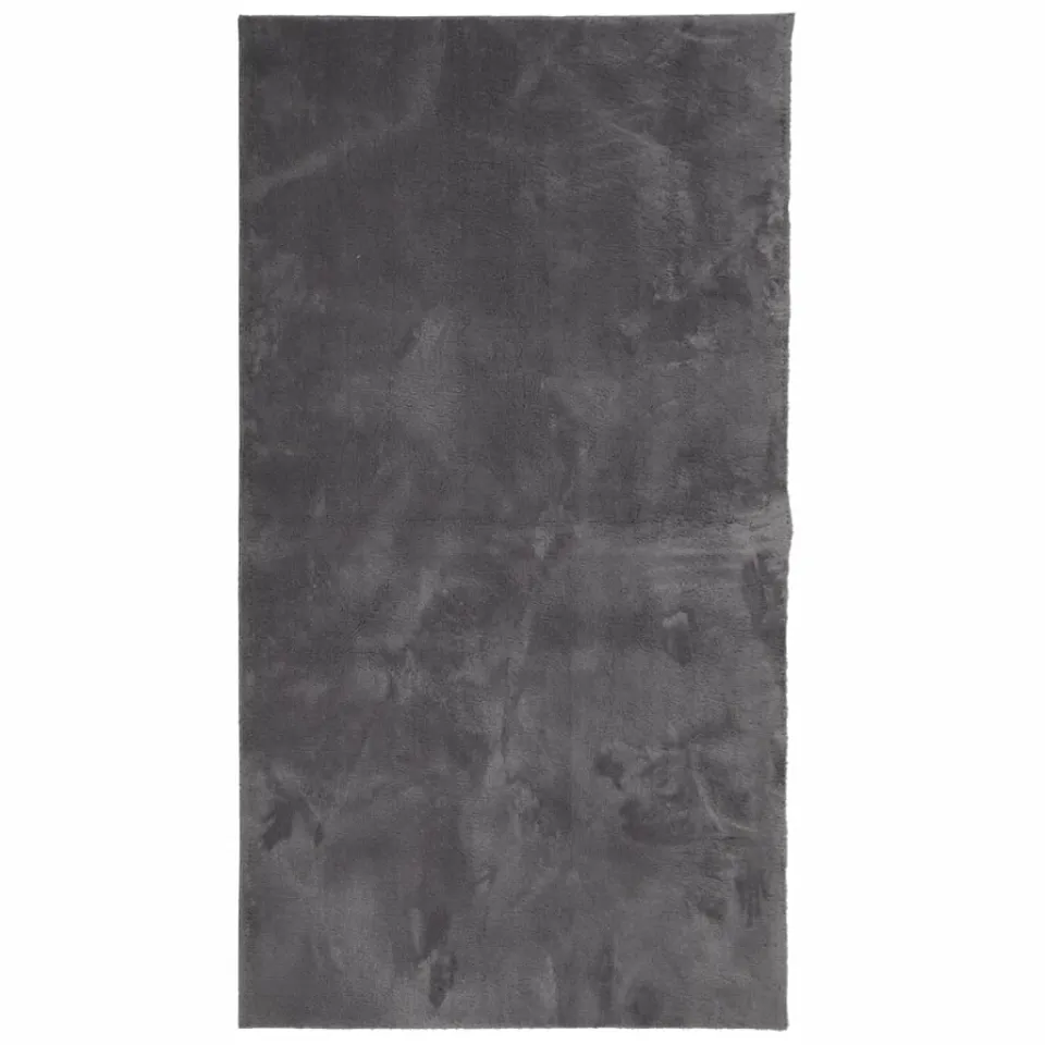 vidaXL Vloerkleed HUARTE laagpolig zacht wasbaar 80x150 cm antraciet, foto 3