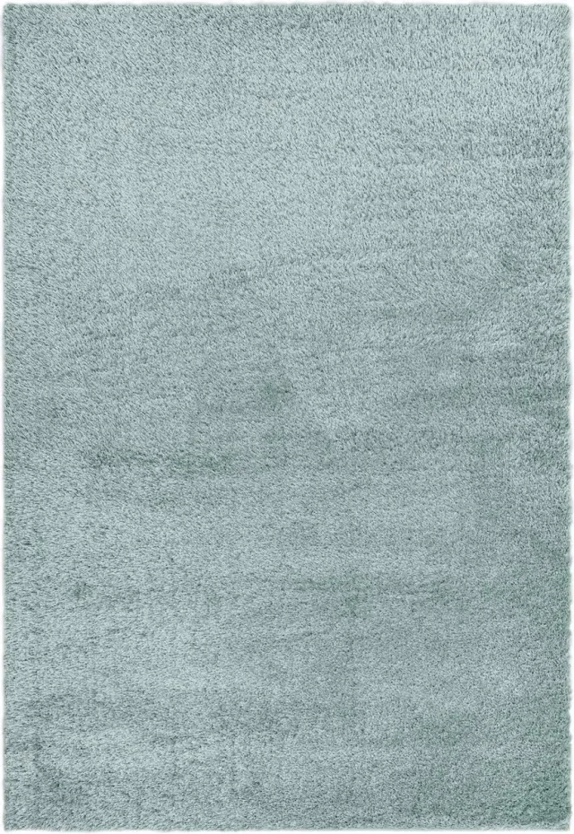 Eazy Living Easy Living - Payton-Duck Egg Vloerkleed - Rechthoek - Laagpolig Tapijt - Modern - Blauw