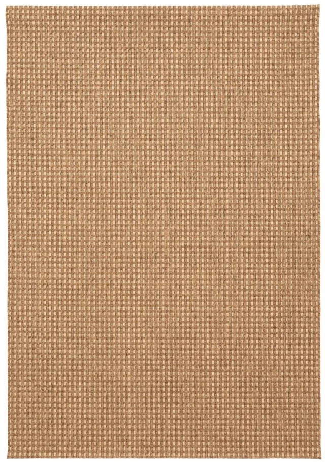 AFK Living Binnen buiten tapijt sisal look PIENZA kastanje