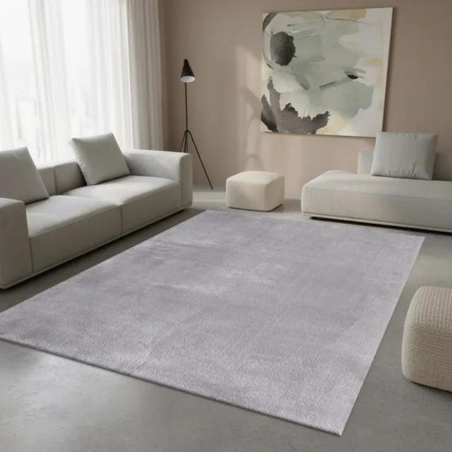 TapisTrend Harig tapijt Grijs 160x220 cm Effen, wasbaar, antislip vloerkleed met een zachte pool van 19 mm voor de woonkamer, slaapkamer en eetkamer