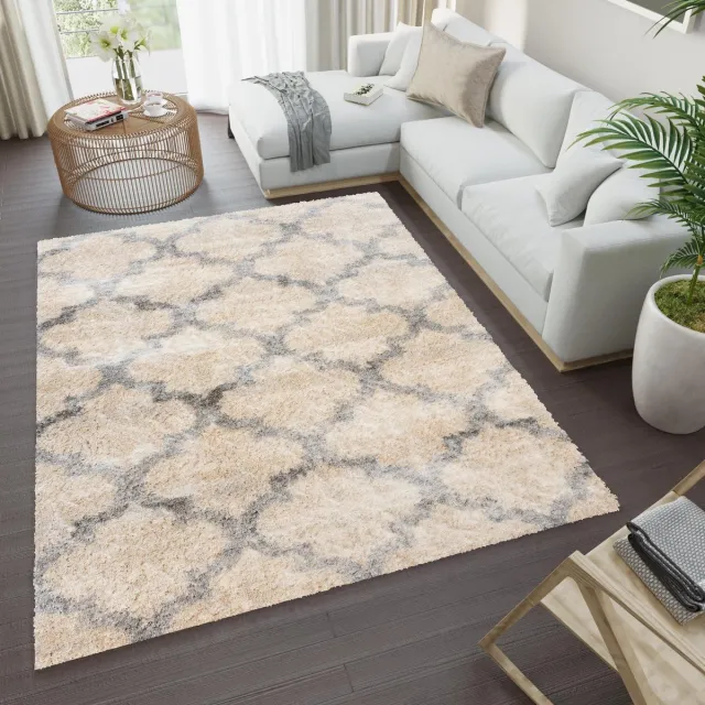 Tapiso Versay Vloerkleed Hoogpolig Shaggy Woonkamer Tapijten Beige1