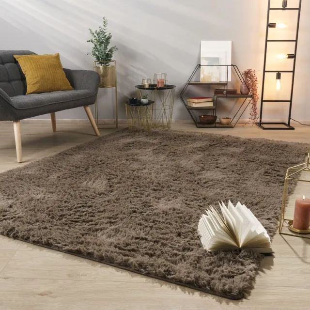 TT Home Tapijt Woonkamer Diepe Pool Lange Pool Zacht Modern Monochroom Design 160 x 220 cm Rechthoek 160 x 220 cm Rechthoek beige