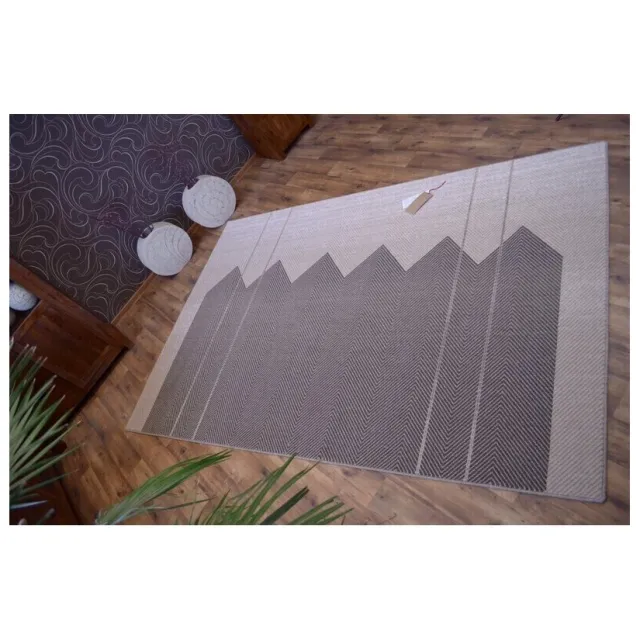 RUGSX Kleden Rugsx Tapijt NATURAL SOLE bruin 200x300 cm