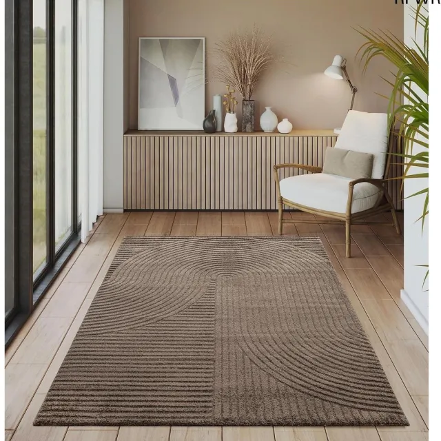 RFWR Modern kortpolig tapijt met hoog-laag-effect en 3D-effect voor woonkamer en slaapkamer - Bruin 80 x 150 cm