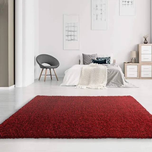 Famanu Tapijt, woonkamer, rood, hoogpolig, langpolig, modern, afmetingen: 60 x 110 cm. Een veelzijdige en handige keuze voor dagelijks gebruik in en om het huis.