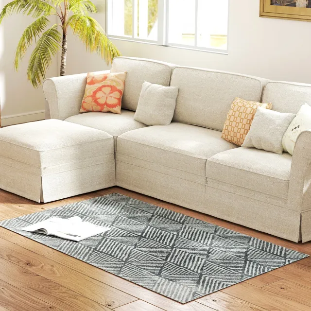 ECTEATOY Wasbaar Vloerkleed Woonkamer - Slaapkamer Tapijt 80x150 cm - Allergievriendelijk - Voor Woonkamer & Slaapkamer - Donkergrijs