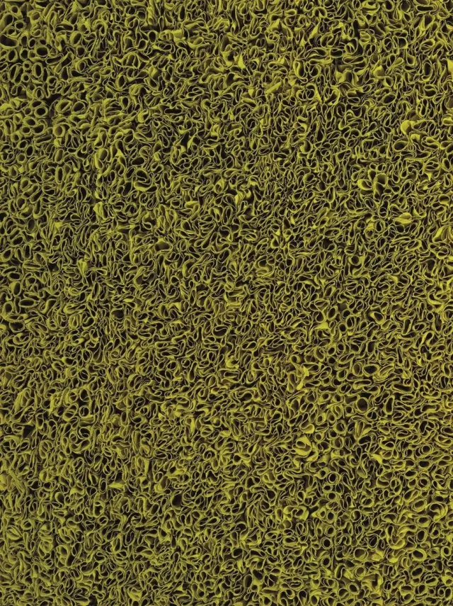 Ligne Pure Influence Vloerkleed/tapijt - Groen - 170x240