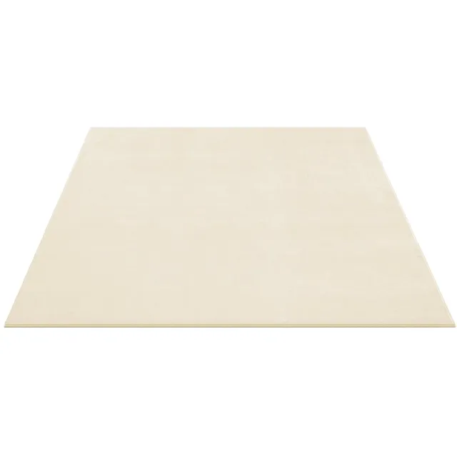 Songmics Tapijt – 160 x 230 cm – woonkamertapijt – Beige