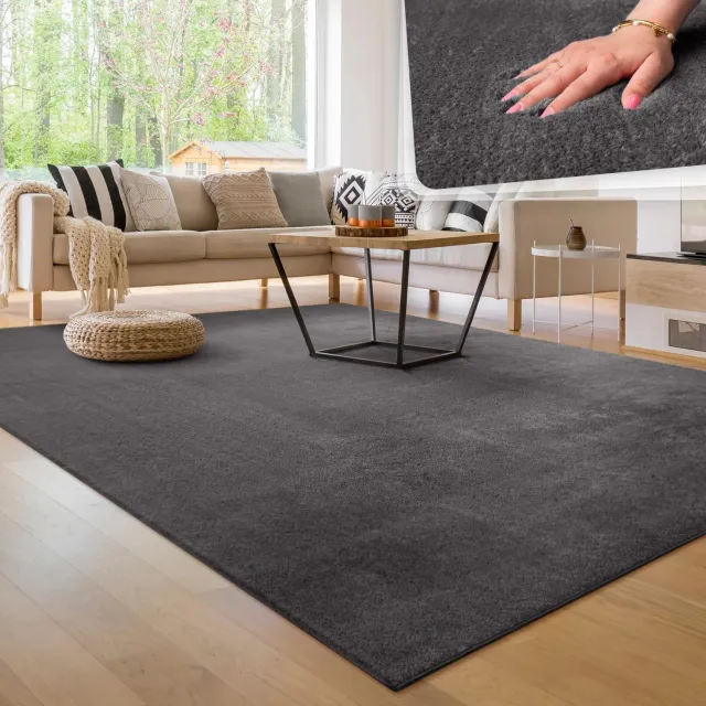 Duraxl Vloerkleed - Kortpolig - Antraciet - 160 x 220 cm