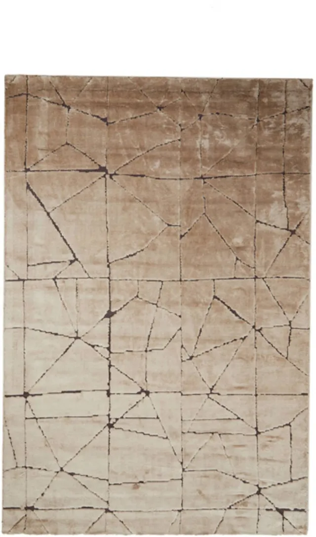 Light & Living Vloerkleed DACULA - Bruin - 160x230x0.5 cm