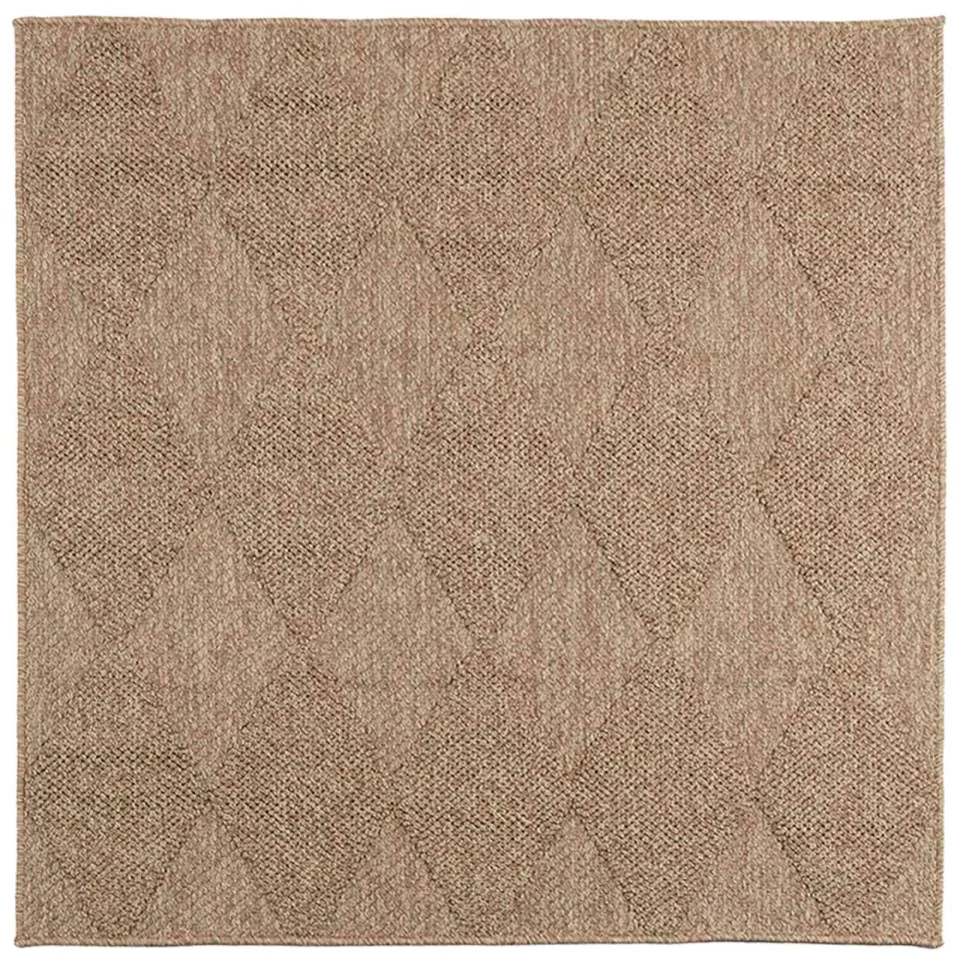 vidaXL Binnen- en buitentapijt AGIRA Naturel 240 x 240 cm Polyester Bruin
