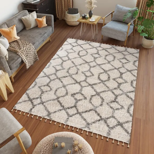 Tapiso Versay Fringes Vloerkleed Boho Hoogpolig Tapijten beige grijs2, foto 4